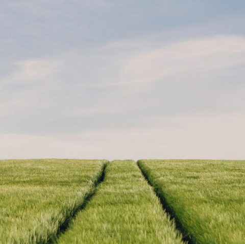 A green field at Wildflower Ranch with two parallel tracks running through the grass under a partly cloudy sky—discover scenic views near new construction homes in Fort Worth, TX.