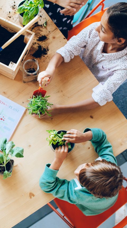 Two children are sitting at a wooden table and planting small green plants in pots, surrounded by gardening supplies and soil, enjoying the fresh environment of Wildflower Ranch near new construction homes Fort Worth.