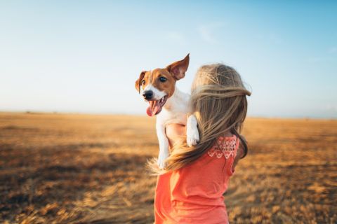 Child carrying dog at sunset on nature